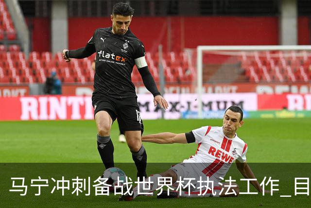 马宁冲刺备战世界杯执法工作 目前身体状态良好
